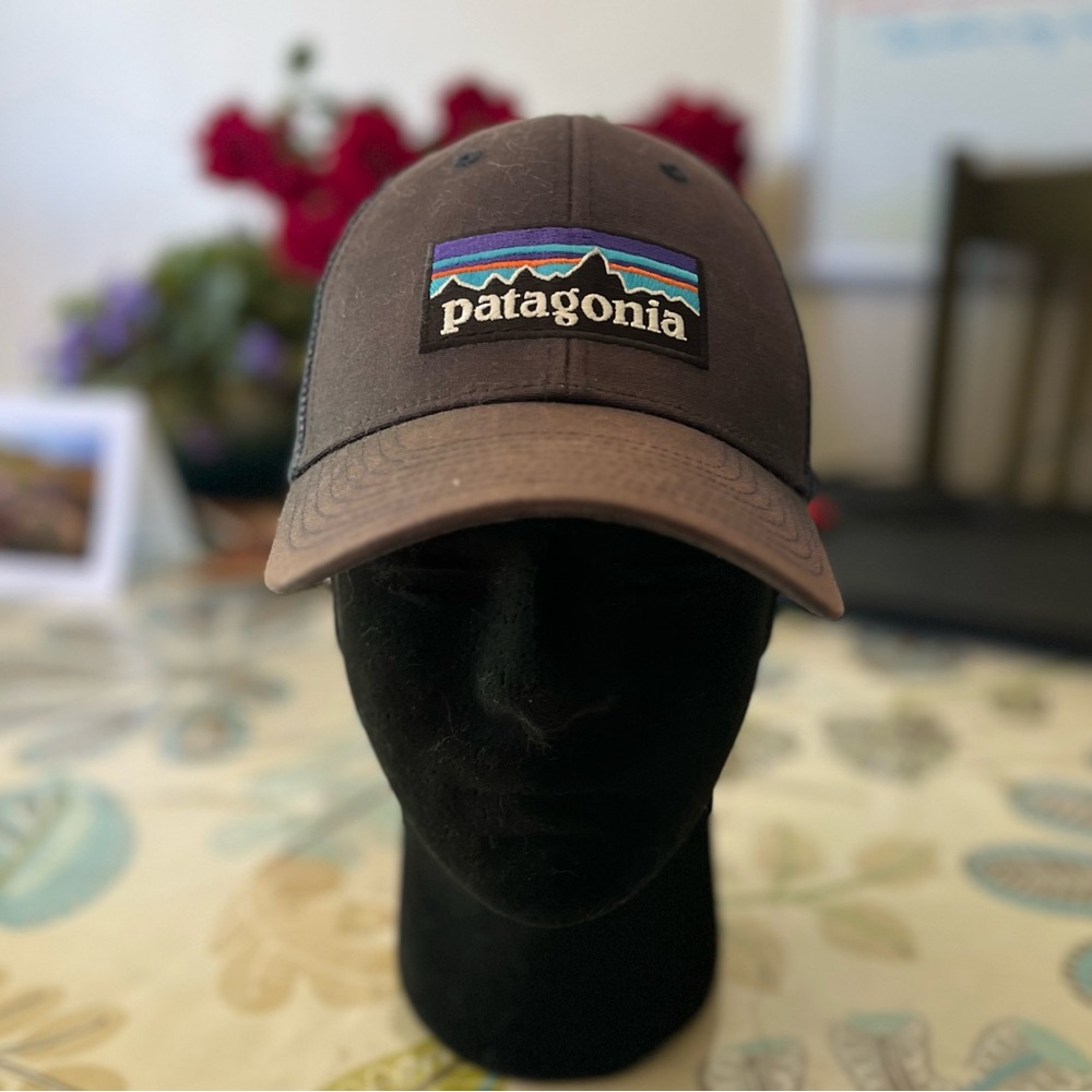 Patagonia Worn Wear baseball hat cap. Organic cotton mesh, 100% polyester. NWOT